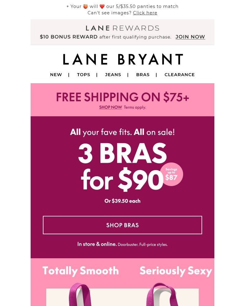 Screenshot of email with subject /media/emails/hold-up-3-bras-for-90-right-this-way-ed2ba1-cropped-bd0d0920.jpg