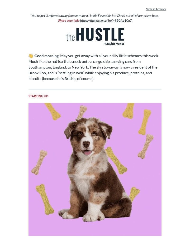 Screenshot of email with subject /media/emails/hold-your-cloned-horses-b0c617-cropped-c9c2cca3.jpg