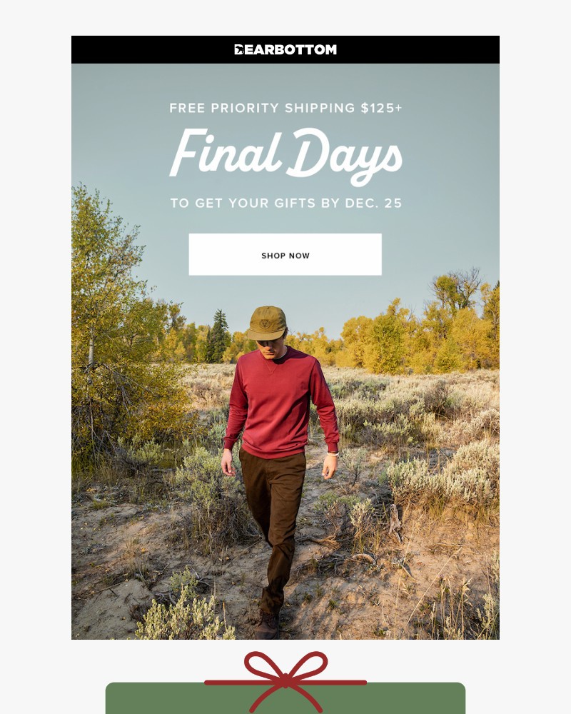 Screenshot of email sent to a Bearbottom Clothing Newsletter subscriber