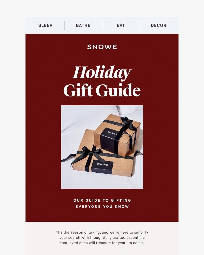 Screenshot of email with subject /media/emails/holiday-gift-guide-1119cc-cropped-0a09774d.jpg