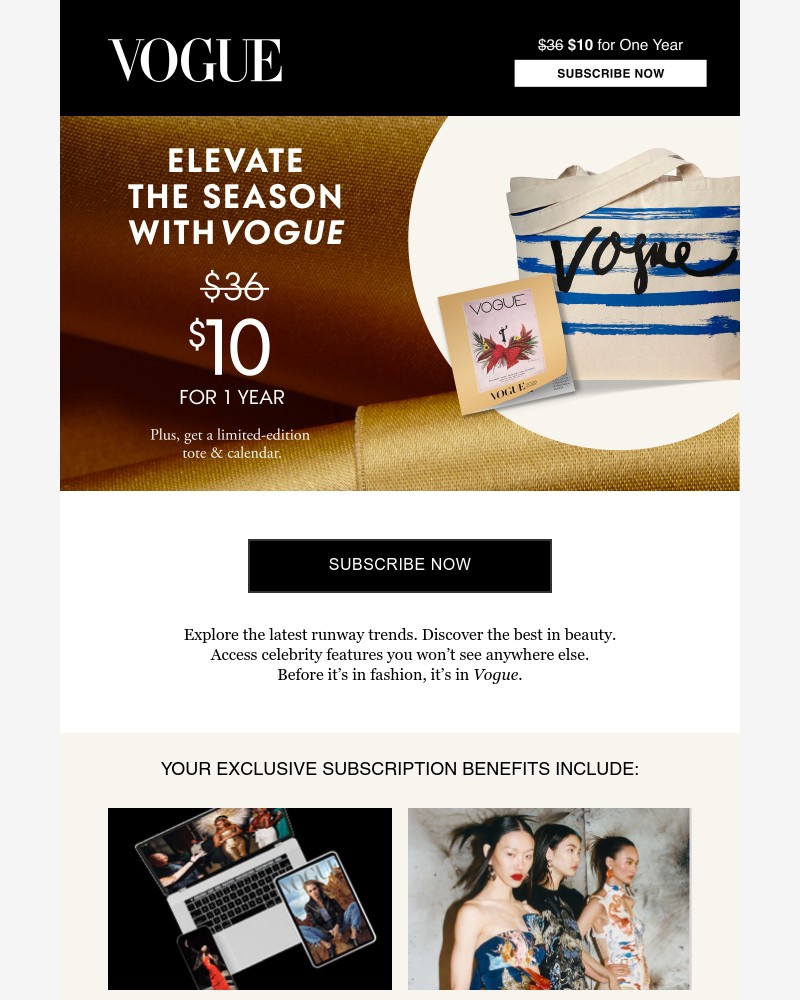 Screenshot of email with subject /media/emails/holiday-sale-elevate-the-season-37f8d3-cropped-1d17acd2.jpg