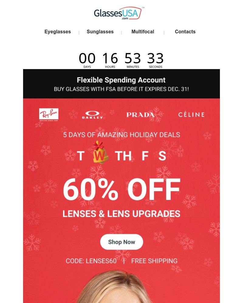 Screenshot of email with subject /media/emails/holiday-sale-is-on-b-i-g-savings-inside-9ab790-cropped-ae39a20e.jpg