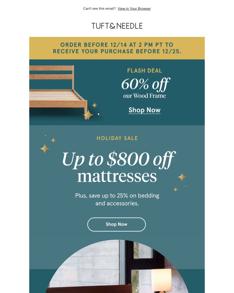Screenshot of email with subject /media/emails/holiday-sale-starts-now-f5606e-cropped-8c327d08.jpg