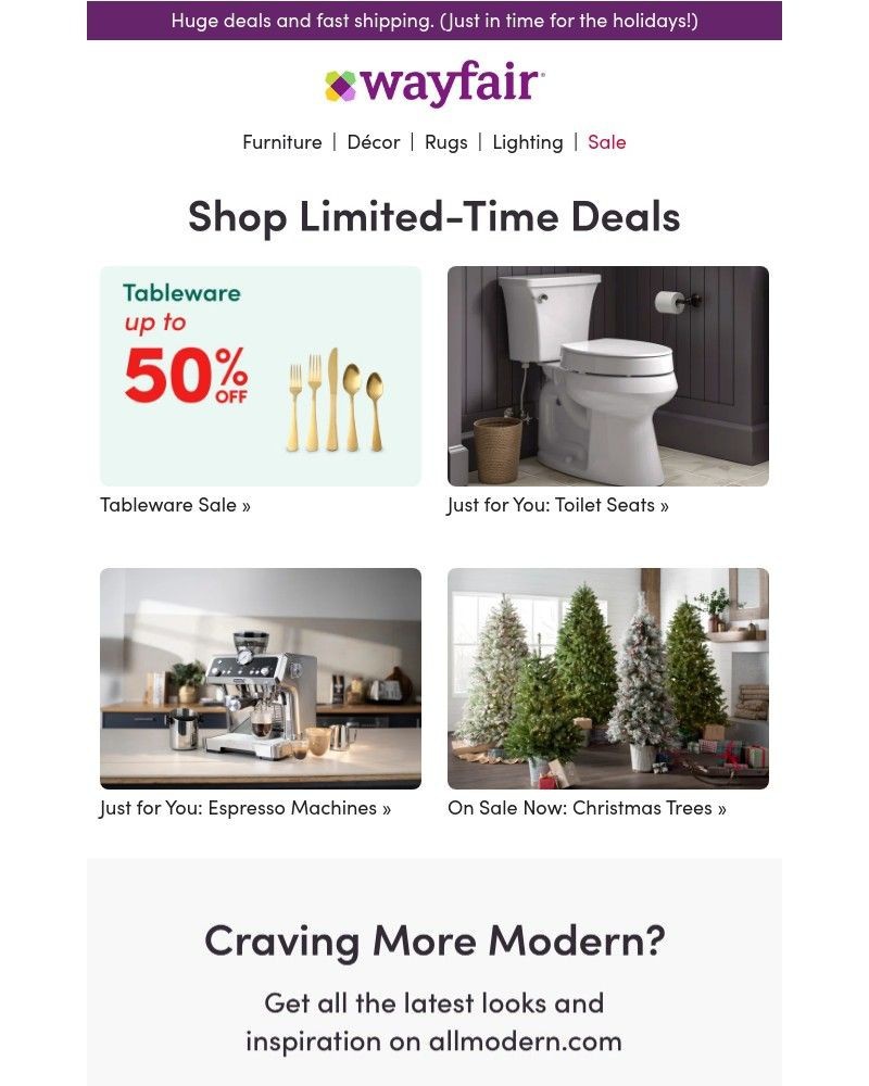 Screenshot of email with subject /media/emails/holiday-sale-tableware-73050f-cropped-0f233c96.jpg
