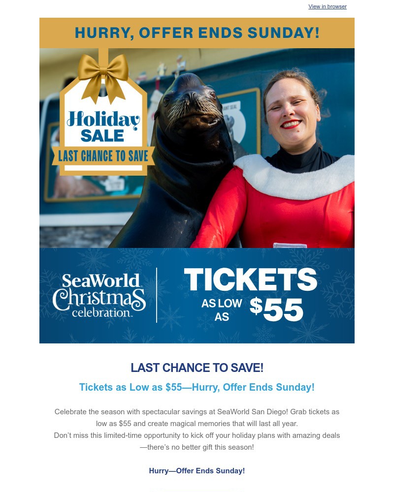 Screenshot of email with subject /media/emails/holiday-sale-tickets-as-low-as-55-b33a38-cropped-ad8b9574.jpg