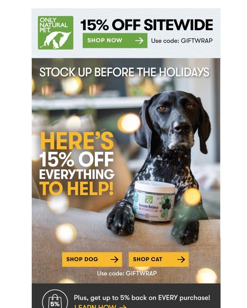 Screenshot of email with subject /media/emails/holiday-shopping-starts-here-15-off-sitewide-4937a4-cropped-4340443b.jpg