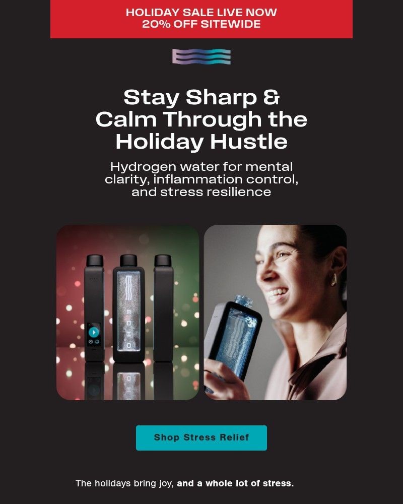 Screenshot of email with subject /media/emails/holiday-stress-meets-its-match-c99133-cropped-5a5851e2.jpg