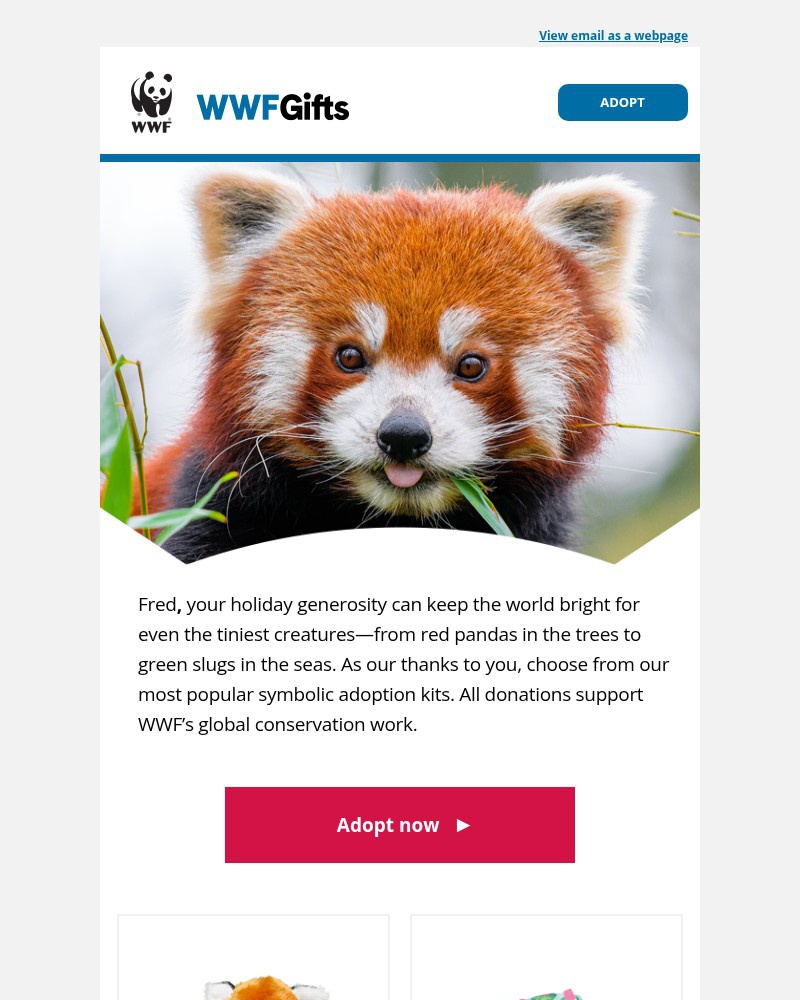 Screenshot of email with subject /media/emails/holiday-symbolic-adoptions-from-red-pandas-to-green-slugs-d9a743-cropped-ed60a184.jpg
