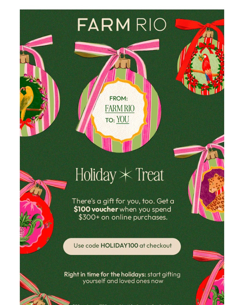 Screenshot of email with subject /media/emails/holiday-treat-you-just-got-100-off-00ade6-cropped-8f896386.jpg