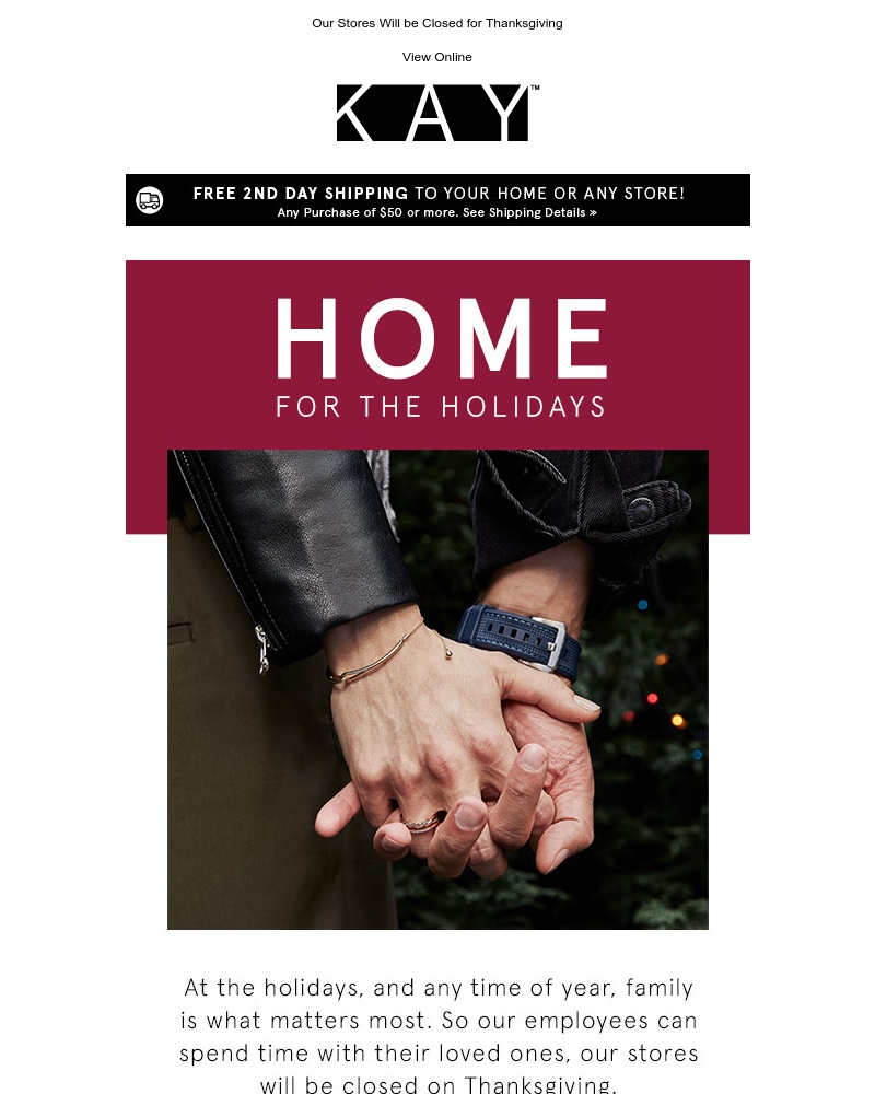 Screenshot of email with subject /media/emails/home-for-the-holidays-cropped-f7ed887f.jpg