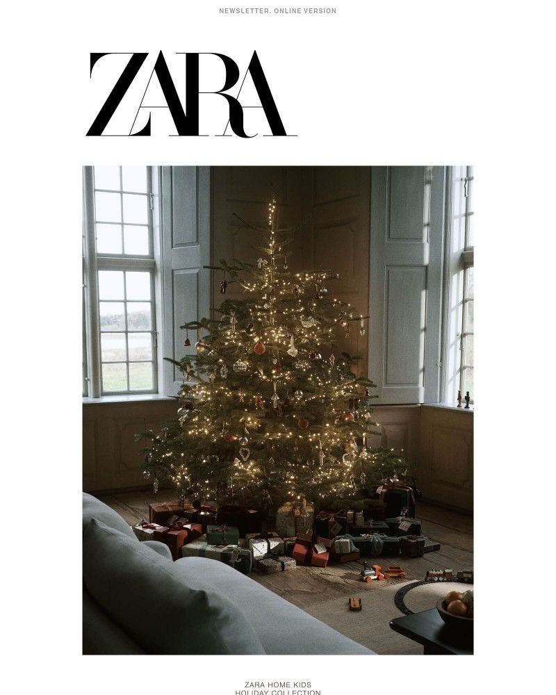 Screenshot of email sent to a Zara Registered user