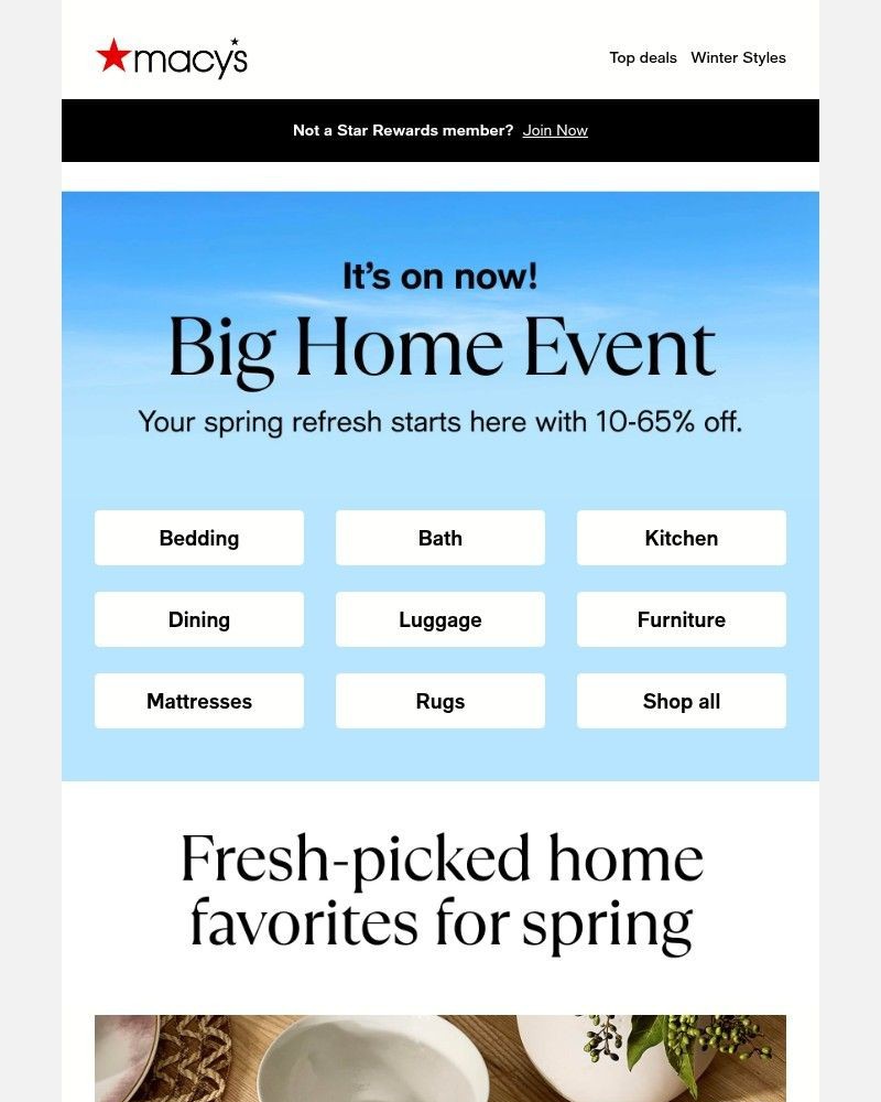 Screenshot of email with subject /media/emails/home-like-a-pro-our-experts-spring-favorites-5ffd32-cropped-dd41b719.jpg