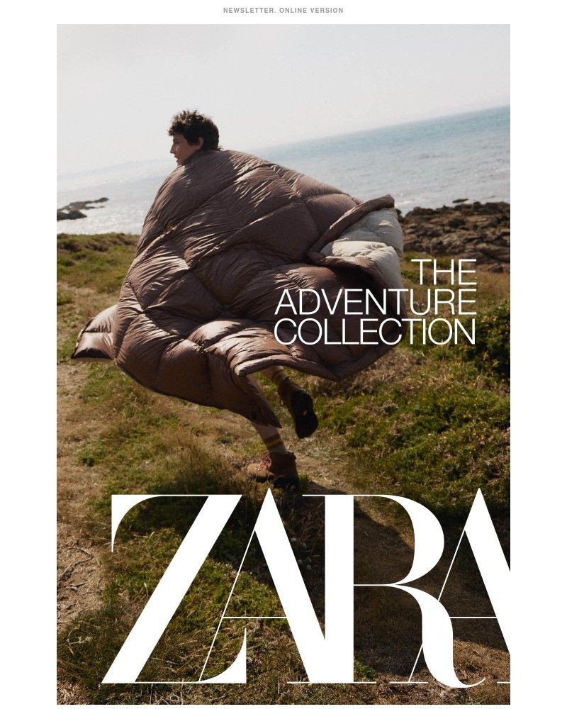 Screenshot of email sent to a Zara Registered user