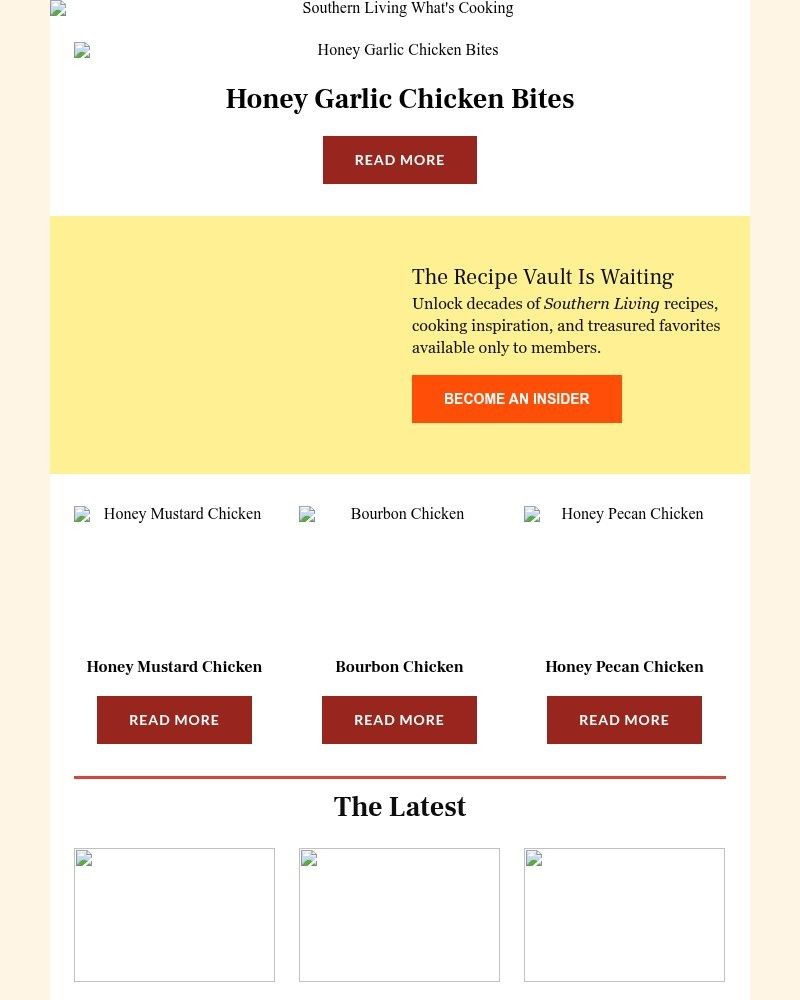 Screenshot of email with subject /media/emails/honey-garlic-chicken-bites-668562-cropped-15c47636.jpg