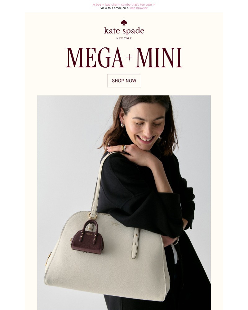 Screenshot of email with subject /media/emails/honey-we-shrunk-the-maise-319d98-cropped-89b22774.jpg