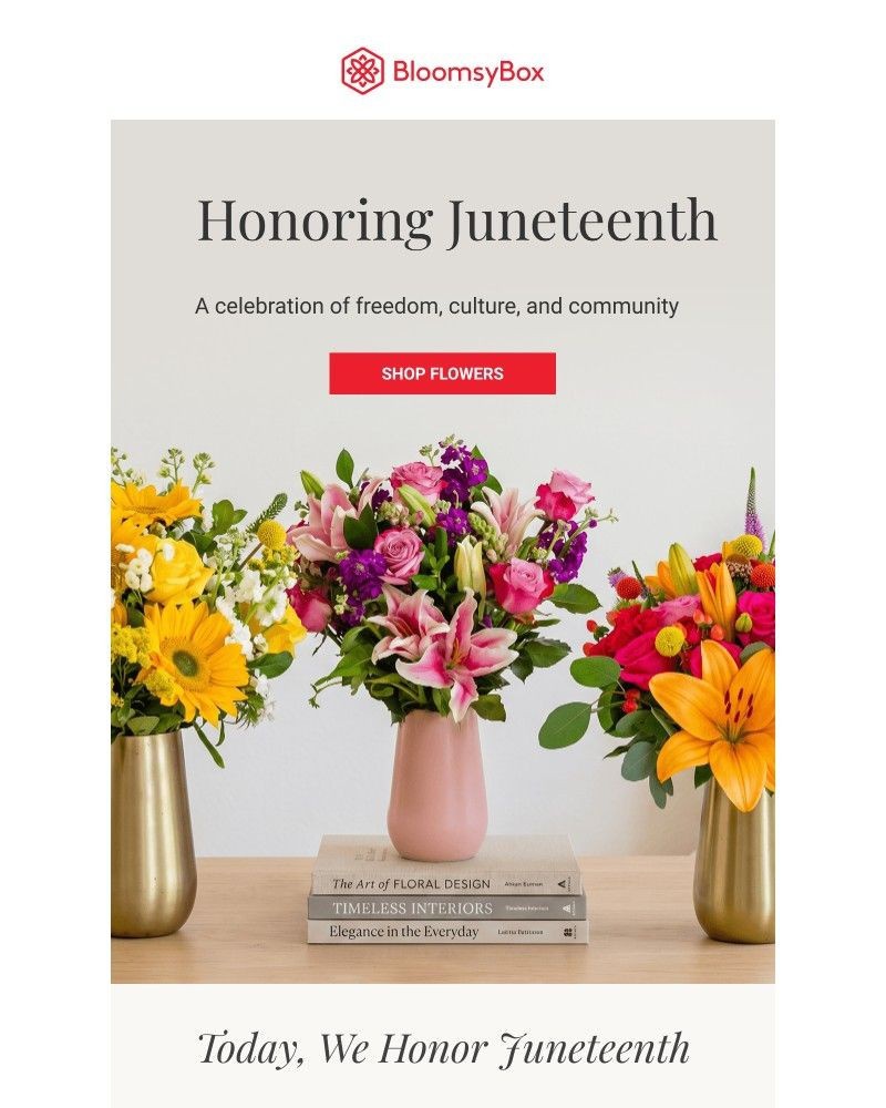 Screenshot of email with subject /media/emails/honoring-juneteenth-f5b58b-cropped-5014182f.jpg