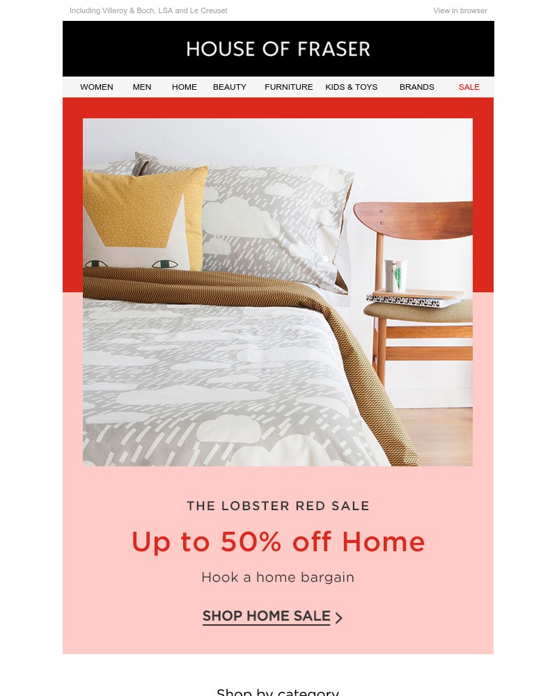 Screenshot of email with subject /media/emails/hook-a-home-bargain-with-up-to-50-off-cropped-df0a511a.jpg