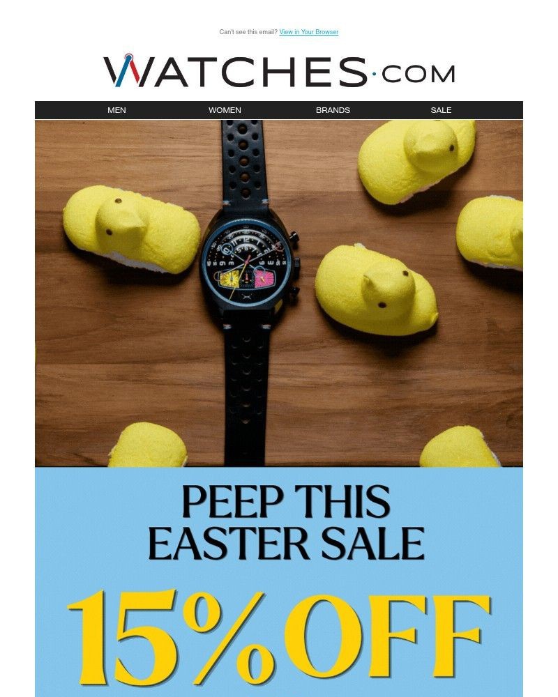 Screenshot of email sent to a Watches.com Newsletter subscriber