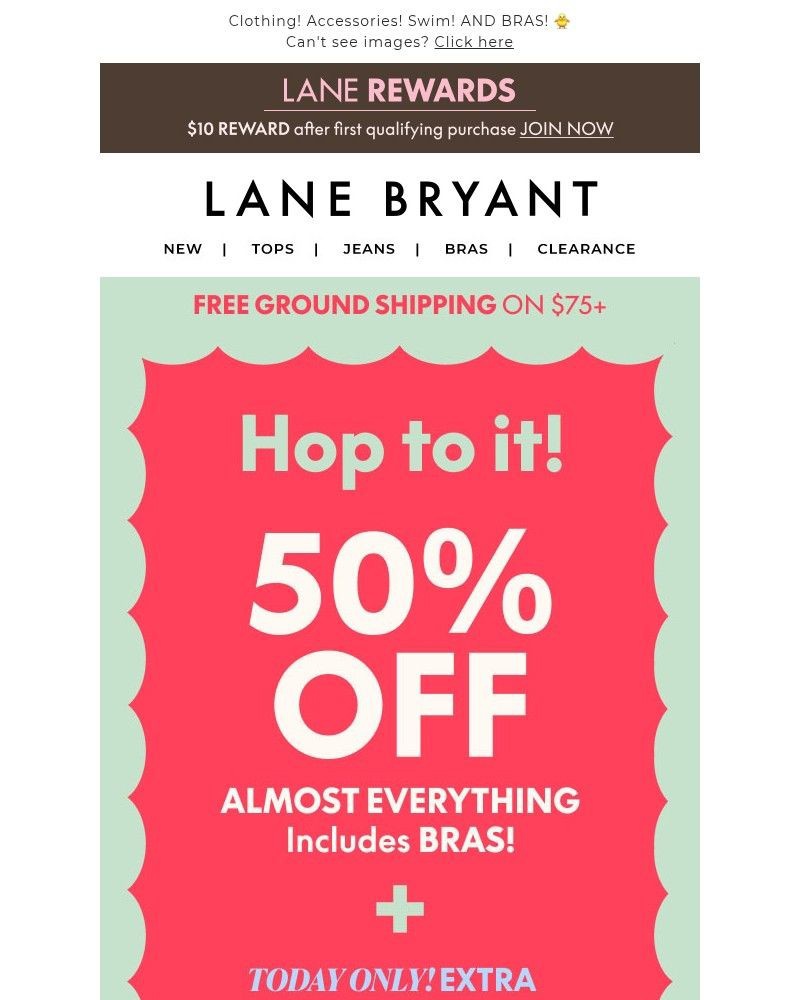 Screenshot of email sent to a Lane Bryant Newsletter subscriber