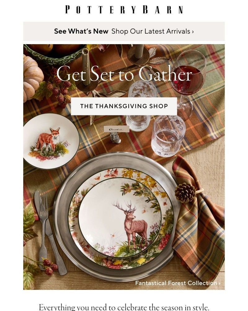 Screenshot of email with subject /media/emails/host-your-best-thanksgiving-yet-e0bcf1-cropped-59d70c13.jpg