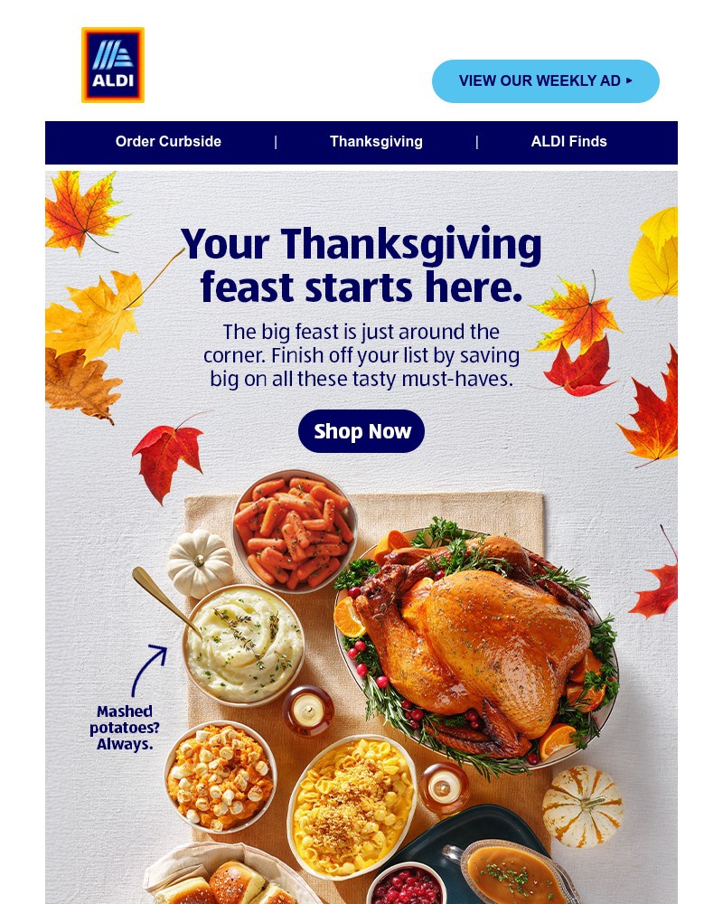 Screenshot of email with subject /media/emails/hosting-thanksgiving-look-no-further-148e7e-cropped-6ddb191c.jpg