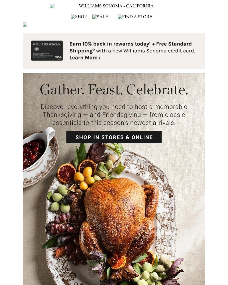 Screenshot of email sent to a Williams Sonoma Newsletter subscriber