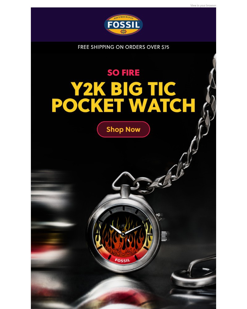 Screenshot of email sent to a Fossil Newsletter subscriber