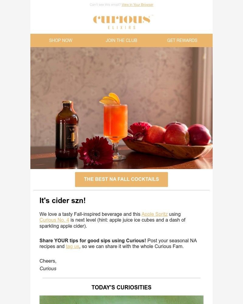 Screenshot of email with subject /media/emails/hot-take-cold-apple-cider-hot-apple-cider-c90139-cropped-1f32f6d9.jpg