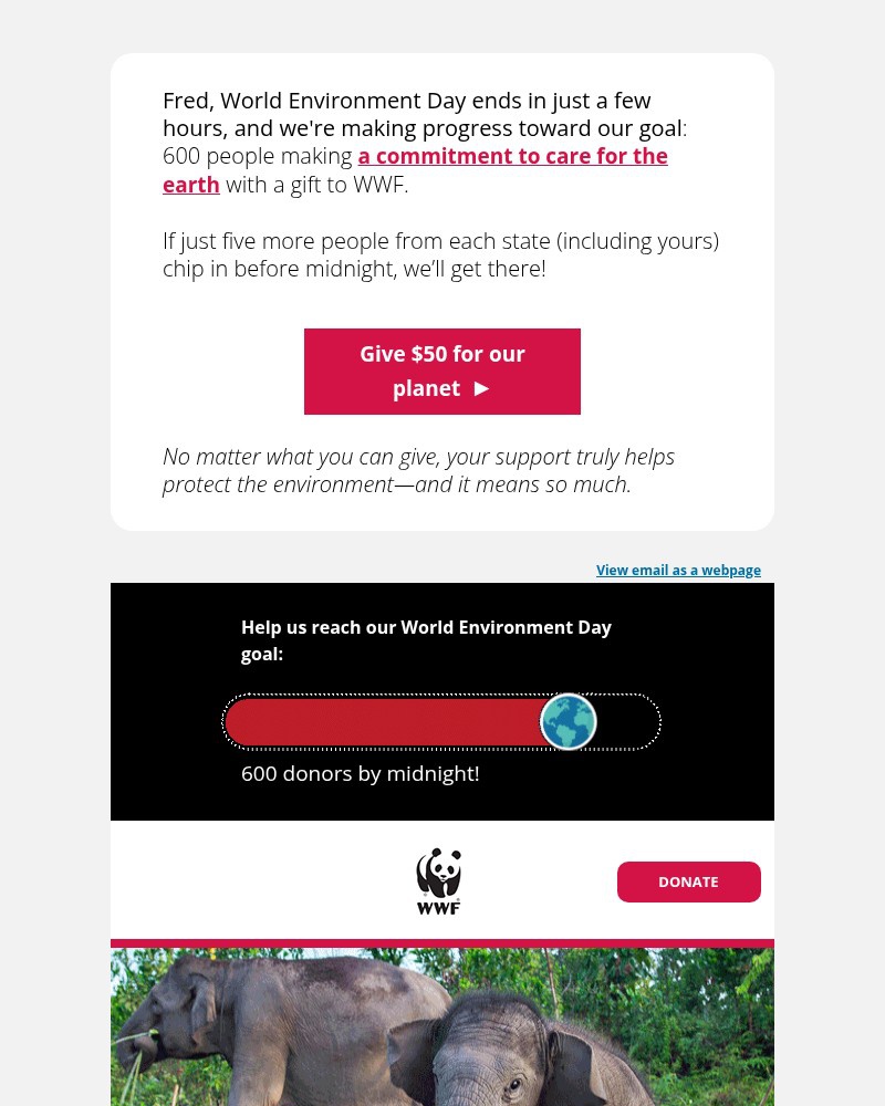 Screenshot of email sent to a World Wildlife Fund Newsletter subscriber