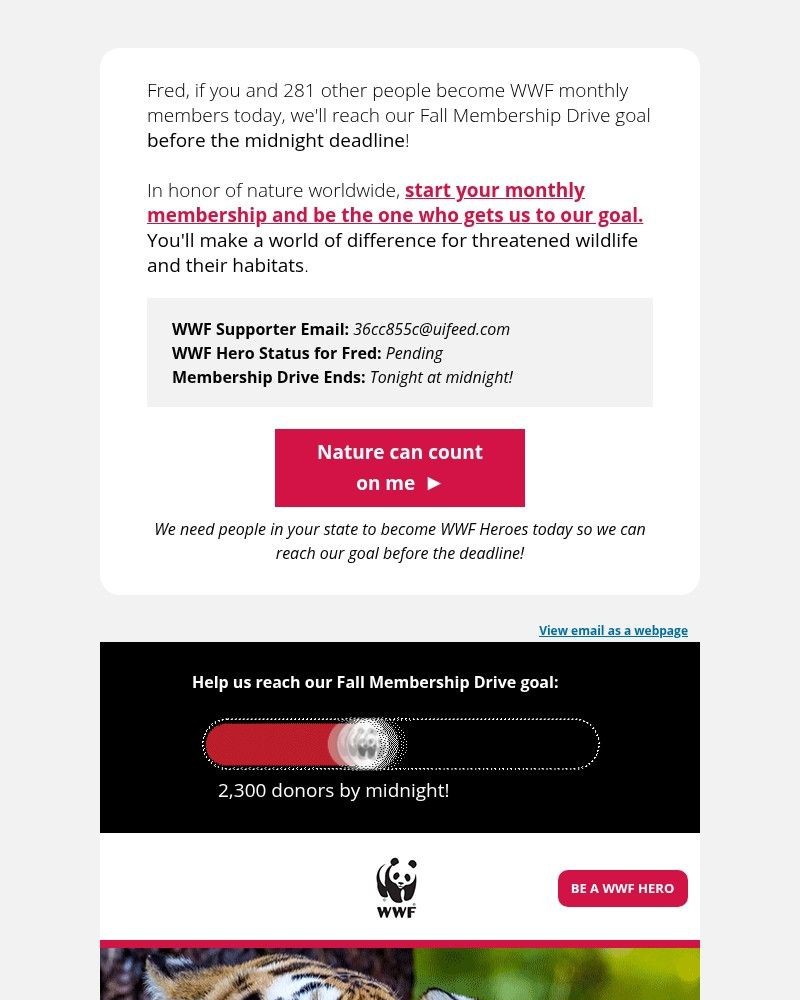 Screenshot of email with subject /media/emails/hours-left-can-you-help-us-reach-our-goal-2f9ec1-cropped-e94a4461.jpg