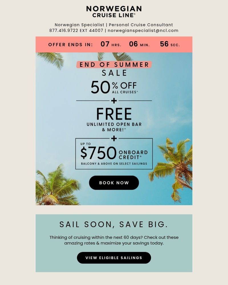 Screenshot of email with subject /media/emails/hours-left-end-of-summer-sale-db7523-cropped-83570210.jpg