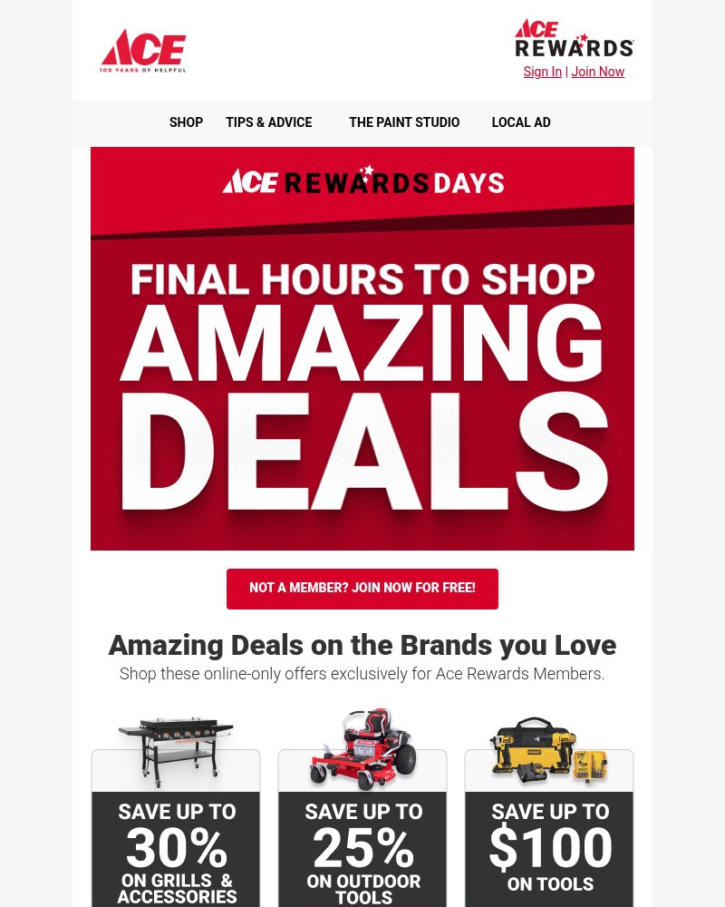Screenshot of email with subject /media/emails/hours-left-for-ace-rewards-days-deals-cb25b4-cropped-9e57dcfb.jpg