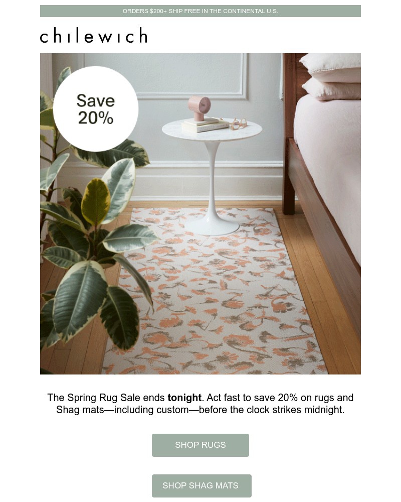 Screenshot of email with subject /media/emails/hours-left-spring-rug-sale-a43702-cropped-de478a3f.jpg