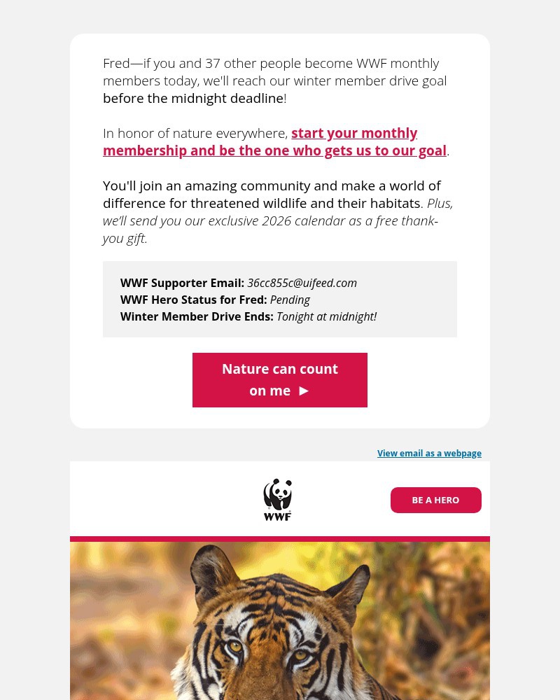 Screenshot of email with subject /media/emails/hours-left-will-you-help-us-reach-our-goal-296a41-cropped-9d203dc3.jpg