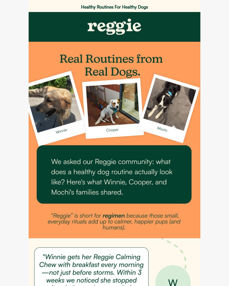 Screenshot of email with subject /media/emails/how-3-reggie-pups-found-their-new-baseline-53a34e-cropped-d67228d9.jpg