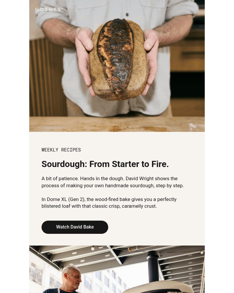 Screenshot of email sent to a Gozney Newsletter subscriber