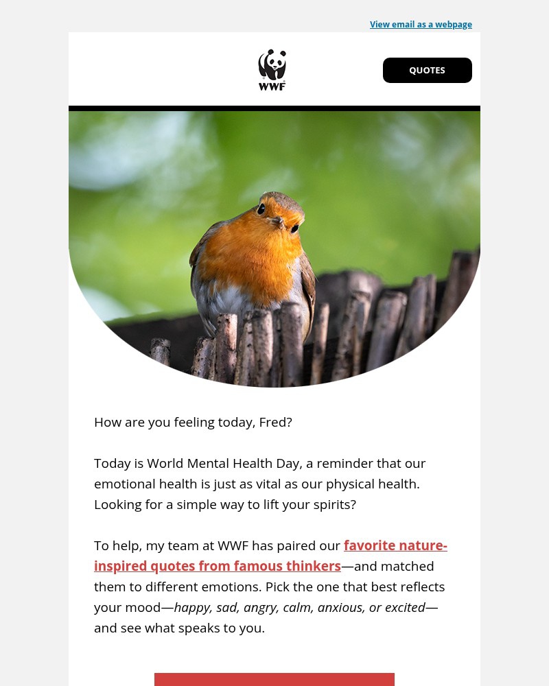 Screenshot of email with subject /media/emails/how-are-you-feeling-today-fred-2d1ae5-cropped-afb4787e.jpg