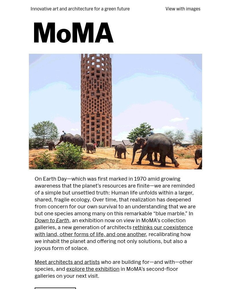 Screenshot of email sent to a The Museum of Modern Art (MoMA) Newsletter subscriber