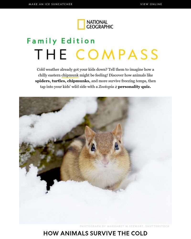 Screenshot of email with subject /media/emails/how-do-animals-survive-the-winter-cold-plus-an-animal-personality-quiz-0daab7-cro_ZW5IzNe.jpg