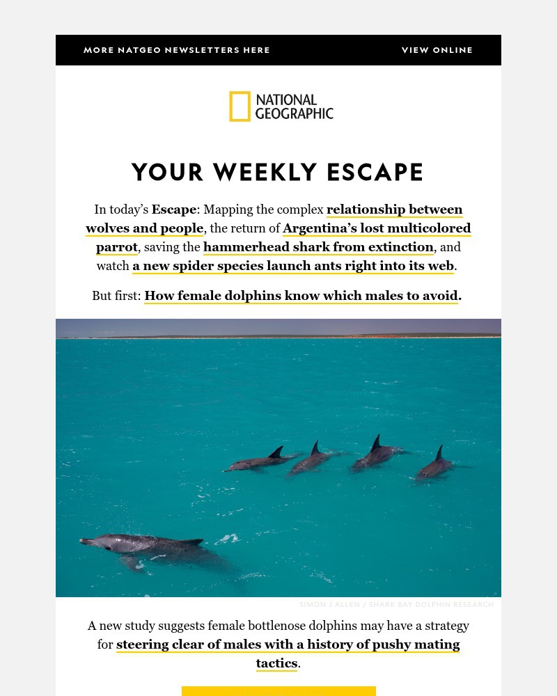 Screenshot of email with subject /media/emails/how-female-dolphins-know-which-males-to-avoidand-the-return-of-argentinas-lost-mu_tfq1YOY.jpg
