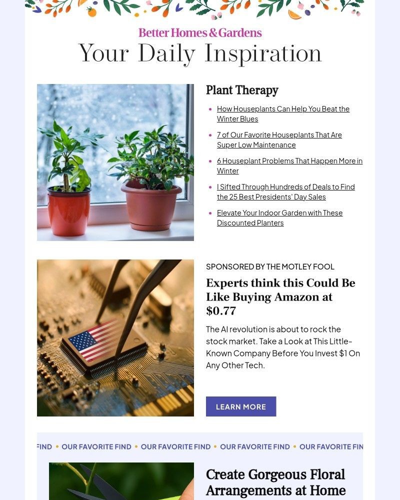 Screenshot of email with subject /media/emails/how-houseplants-can-help-you-beat-the-winter-blues-831d2f-cropped-fbc12810.jpg