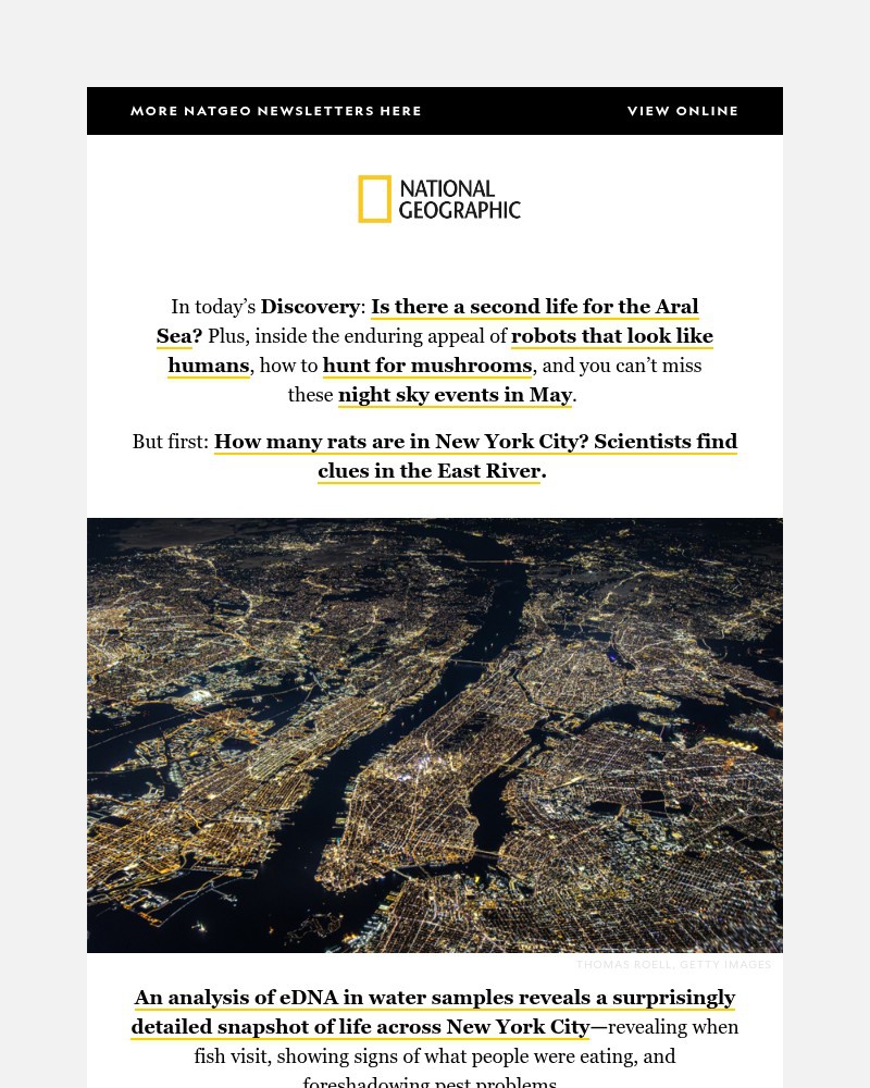 Screenshot of email with subject /media/emails/how-many-rats-are-in-new-york-city-reimagining-the-aral-sea-why-do-so-many-robots_MTn644q.jpg