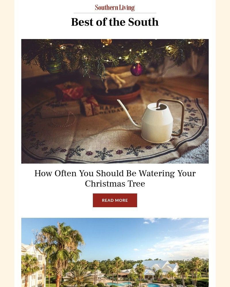 Screenshot of email with subject /media/emails/how-often-you-should-be-watering-your-christmas-tree-fa334c-cropped-846c6124.jpg