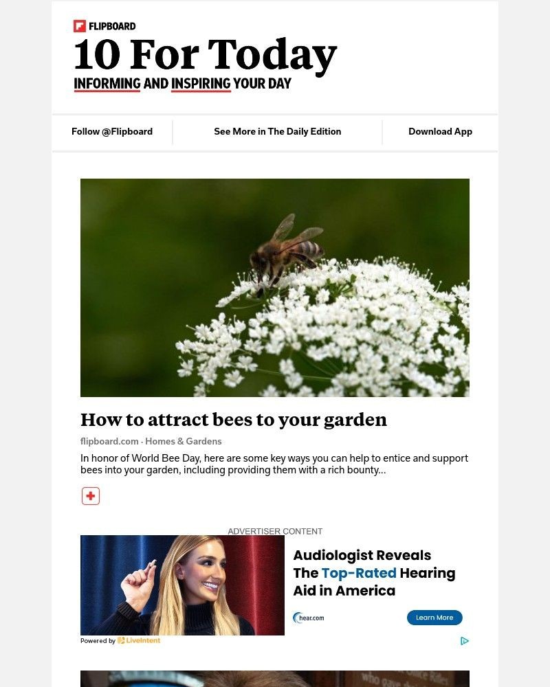 Screenshot of email with subject /media/emails/how-to-attract-bees-to-your-garden-dd593d-cropped-003f2db7.jpg