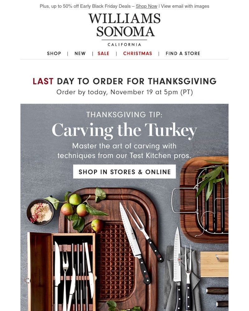 Screenshot of email with subject /media/emails/how-to-carve-the-turkey-eb0b04-cropped-cd7d7aa1.jpg