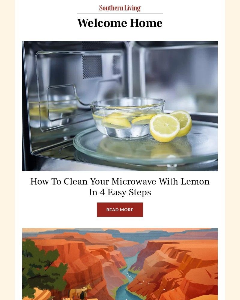 Screenshot of email with subject /media/emails/how-to-clean-your-microwave-with-lemon-in-4-easy-steps-e7cd65-cropped-2641b629.jpg