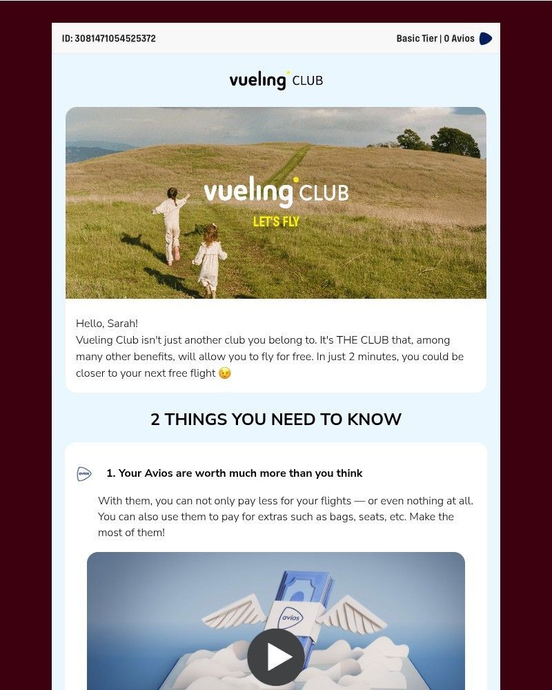 Screenshot of email sent to a Vueling Registered user