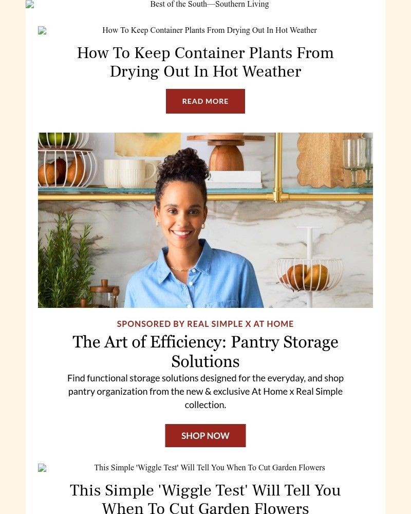 Screenshot of email sent to a Southern Living Newsletter subscriber