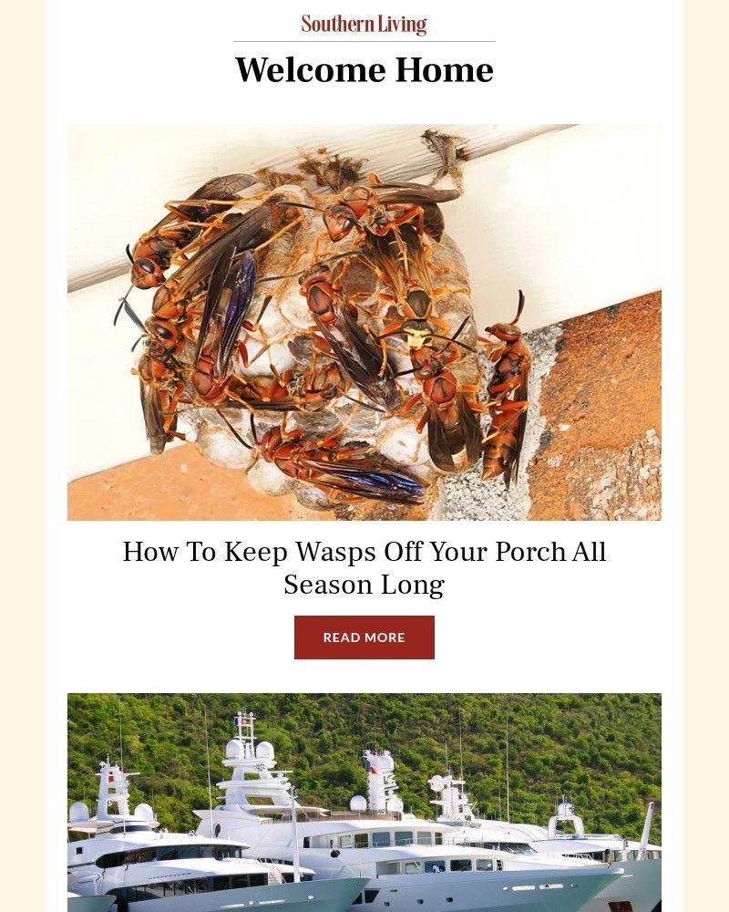 Screenshot of email with subject /media/emails/how-to-keep-wasps-off-your-porch-all-season-long-6e8f61-cropped-d1d3f267.jpg