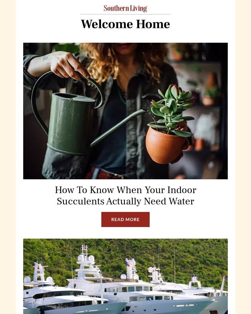 Screenshot of email with subject /media/emails/how-to-know-when-your-indoor-succulents-actually-need-water-49185d-cropped-74c920f7.jpg